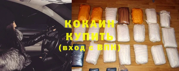 прущие грибы Сосновый Бор