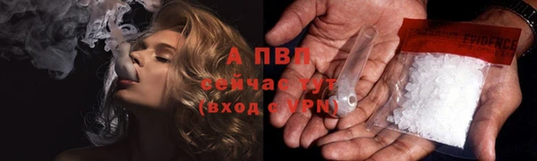 PSILOCYBIN Магадан