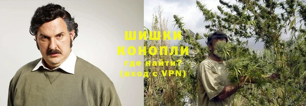 PSILOCYBIN Магадан